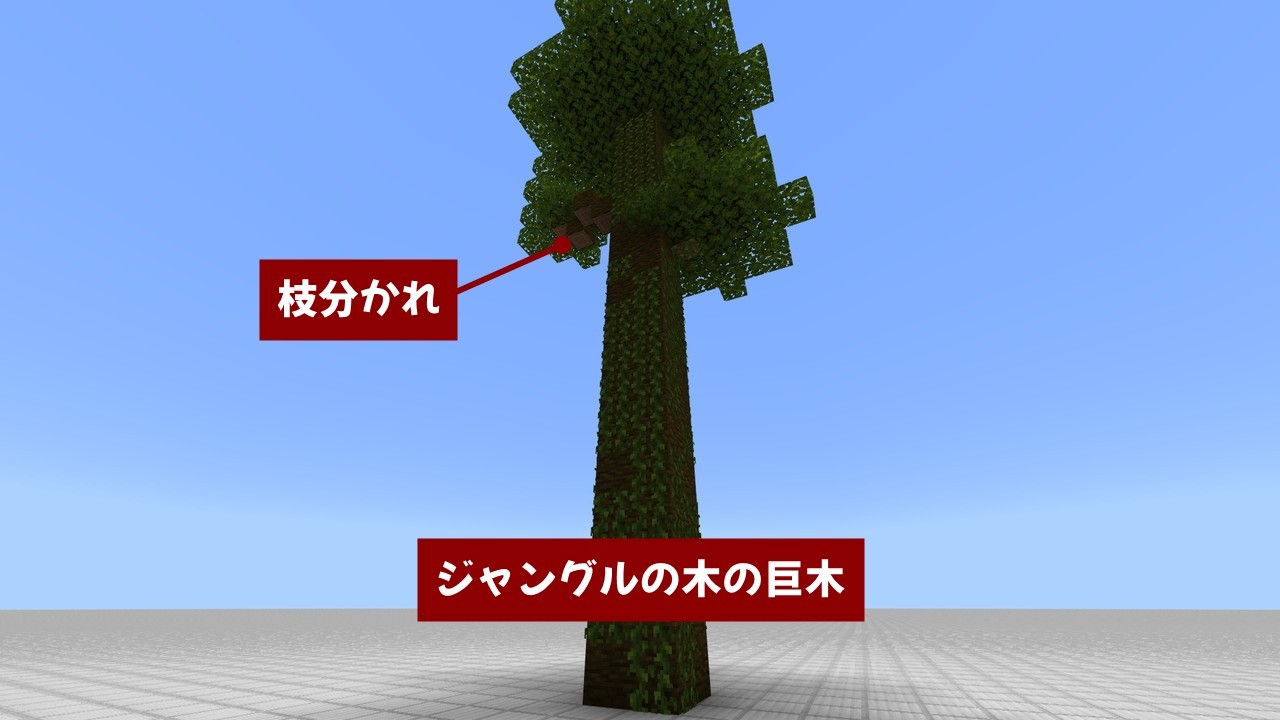 マイクラ 全6種の木の育て方と制御ブロックの位置 種類ごとに制御し