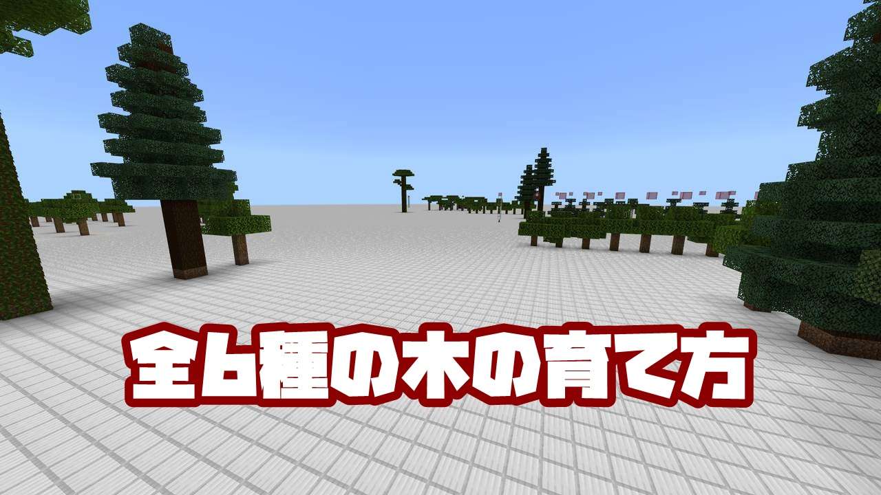 マイクラ サボテン 育て 方