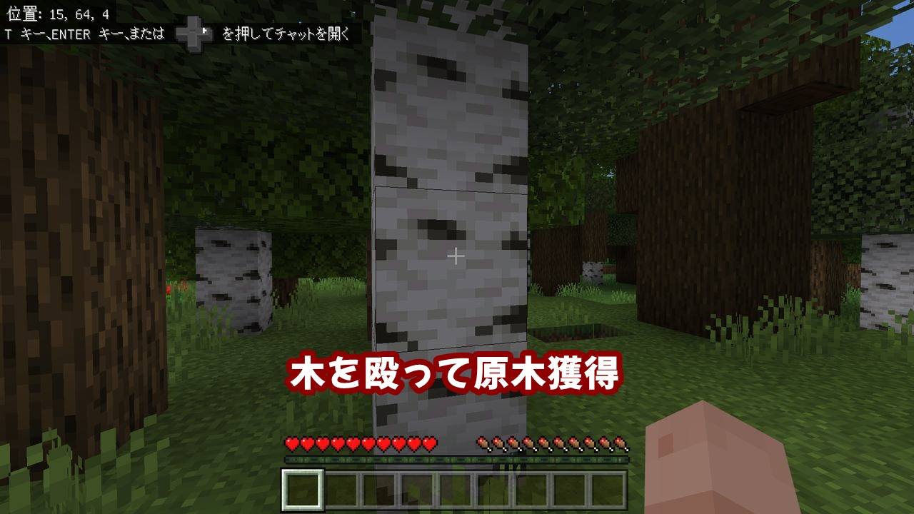 マイクラ 序盤の効率的な進め方 拠点を作り食料を安定供給させるまで 統合版